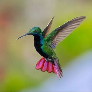 SHOP my closet & REQUEST items for LIVE SHOW DISCOUNT.